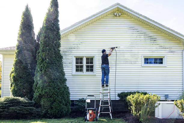 Best Sidewalk and Walkway Cleaning  in South Ack, NY